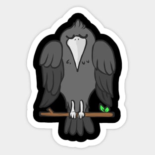 Raven bird crow jackdaw jay hooded crow cute Sticker